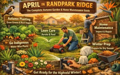 Your Ultimate Autumn Garden & Home Maintenance Guide